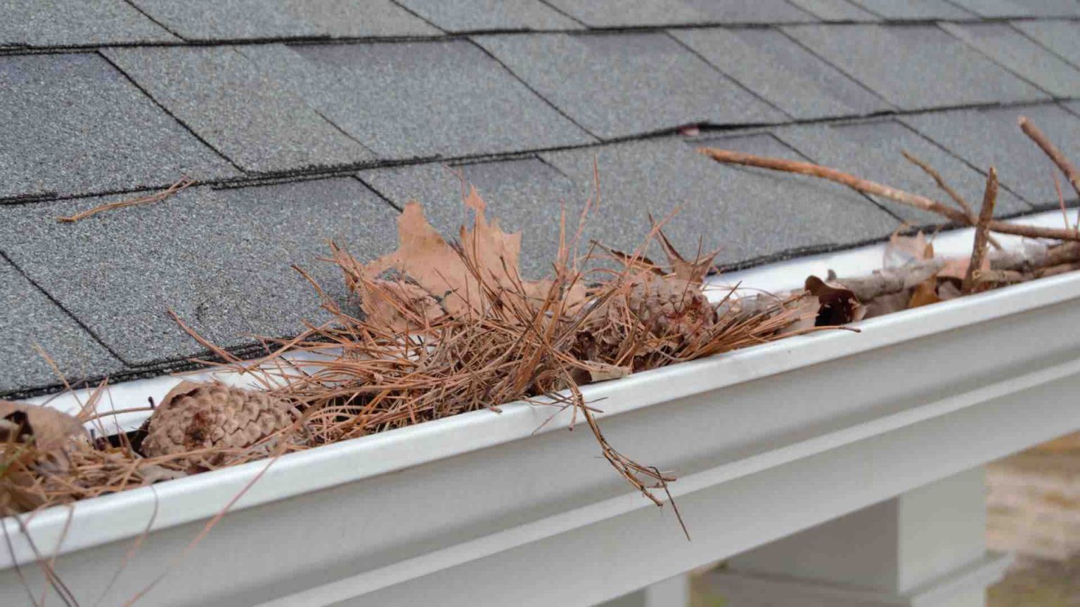 How much does gutter cleaning cost? Complete Business News